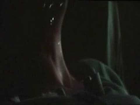 Predator vs Alien Requiem