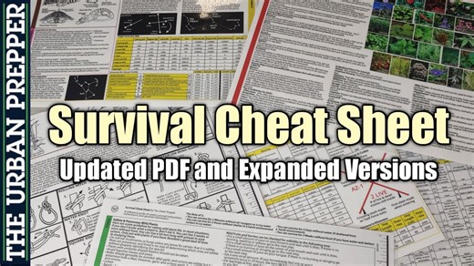 Updating the survival cheat sheet with expanded PDFs