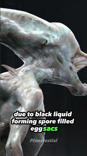 Neomorphs: Aggressive Alien Predators with a Unique Life Cycle #neomorph #xenomorph #alienconvenat