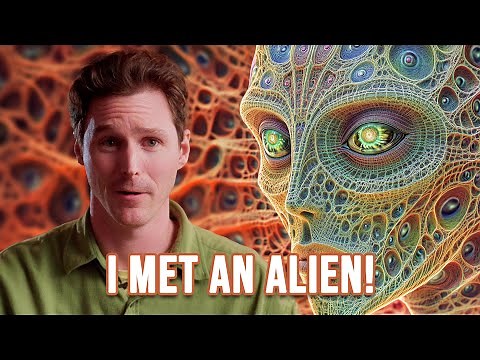 What is DMT Really Like: I Met An Alien On DMT.