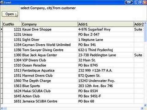 Delphi Programming Tutorial #10 - SQL Part One
