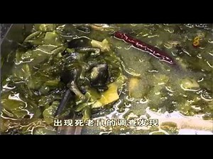 Channel 8 News Tonight