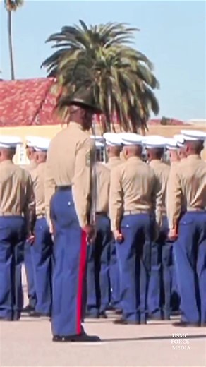 USMC Graduation Ceremony Highlights and Insights
