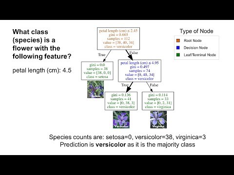 Understanding Decision Trees using Python (scikit-learn)