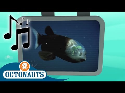 Octonauts - Spook Fish | Cartoons for Kids | Creature Reports