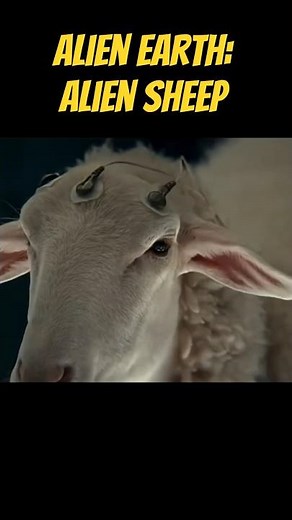 ALIEN EARTH: ALIEN SHEEP 🐐👽 (Oveja Alien) #alienearth #edit #shorts #youtubeshorts #shortfeeds