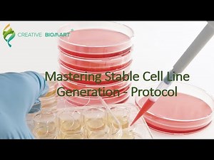 Mastering Stable Cell Line Generation - Protocol
