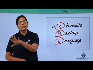 Accessing The Web - Client Side Language