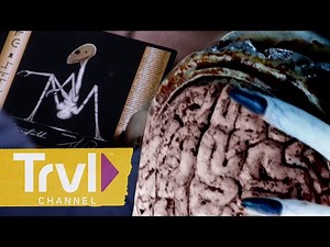 5 ALIEN ENCOUNTERS That Keep Us Up at Night | UFO Witness | Travel Channel