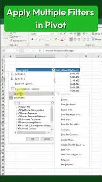Filter Frenzy in Excel Pivot Tables! apply multiple filters in pivot table in excel