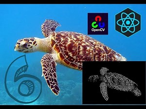 OpenCV.js React App Part 6