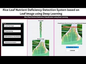 Rice Leaf Nutrient Deficiency Detection System based on Leaf Image using Deep Learning | MATLAB