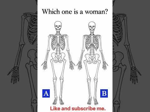 eaching Level 63+ Slice Game Tutorial Perfect Cuts | One Tap Clean Finish 🎯 edge #MobileGaming