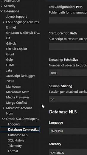 2 - Pre-Install tips - Oracle SQL Extension for VS Code #devdiaries #vscode #vscodeextensions