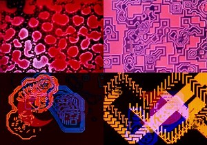 Watch 30 Films from the 1970s by Computer Animation Pioneer Lillian F. Schwartz