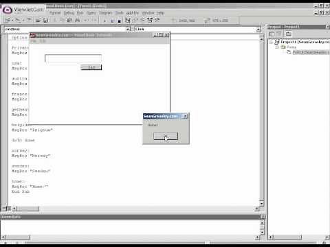 Visual Basic (VB) Tutorial - 7.1 - Goto Command [TutorialGenius.com]