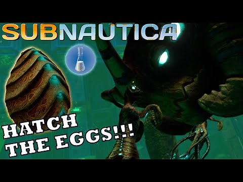 Subnautica: EASIEST Way To Get Hatching Enzymes For The Sea Emperor!