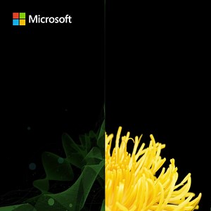 Discover everything you need to code, deploy, and scale your Java apps in the cloud with confidence. Register today; | Microsoft Developer