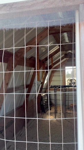 Buzz tells 4 alien jokes 👽— #ufo #dadjokes #dreamworks #aliens #uap — Get yerself sum Dude Wipes DUDE Wipes #DUDEWIPES | Hicks And Giggles