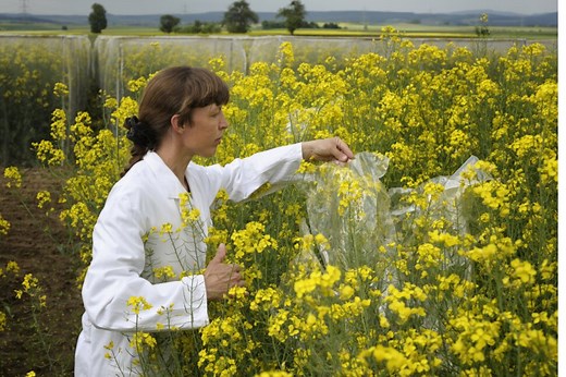 What to Do With an Environmental Science Degree