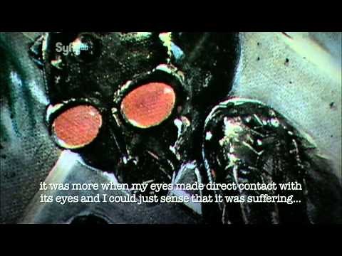 UFO Files - The Brazilian UFO Crash: The Varginha Incident