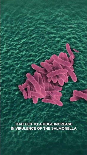 Are Bacteria Space Travelers? | Ancient Aliens | #shorts