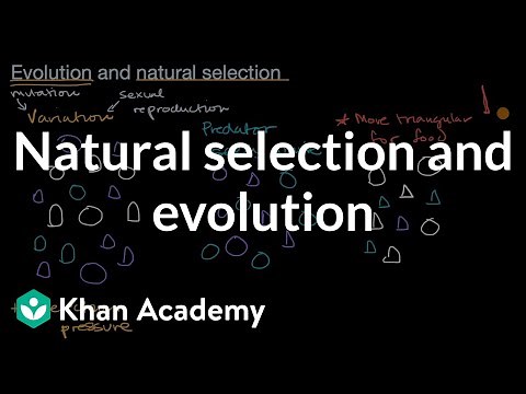 Natural selection and evolution | Mechanisms of evolution | High school biology | Khan Academy