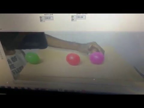 Measuring distance using image processing in LabView