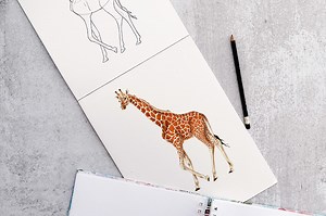 How to Draw a Giraffe - Our Fun and Easy Drawing Tutorial