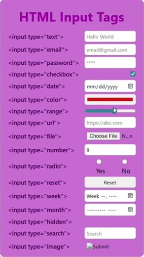 HTML Input Tags🚀💻 | Learn HTML #coding #developerrehan