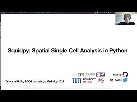Workshop "Spatial transcriptomics data analysis in Python" - 1.1 (squidpy)