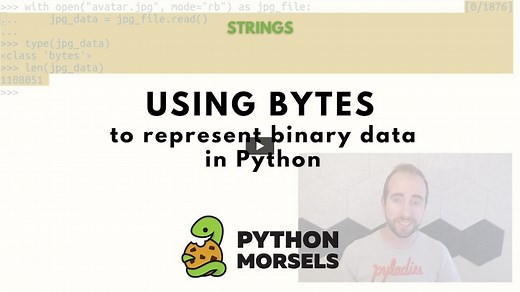 Representing binary data with bytes