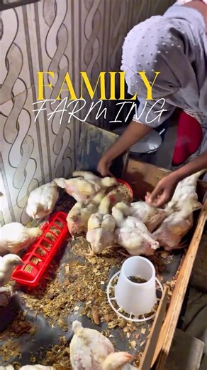 Lagos Food Bank on Instagram: "When households are able to sustain themselves, communities thrive and become more resilient. Our family farming @familyfarming.ng program provides women with ability to achieve economic independence and invest in their families and communities. ————————- You too can be a part of this private driven initiative. Send an email to partnership@lagosfoodbank.org or call 07058617222 You can also make a donation to our various programs via any of the accounts below: Accou