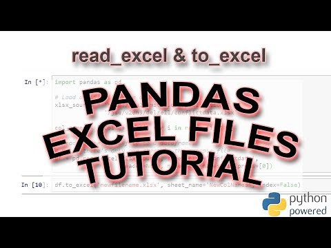 How to Use read_excel and to_excel