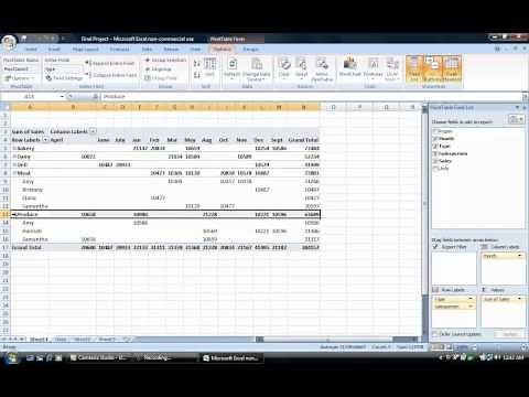Pivot Tables for Beginners