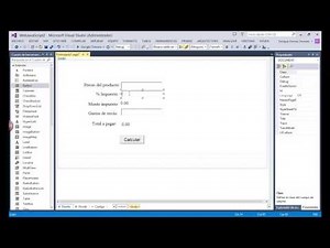 JavaScript Dentro de una página ASP .NET