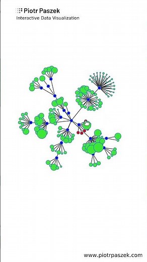 Force directed network graph - D3.js interactive data visualization