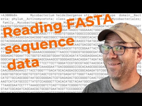 Writing an R function to read FASTA-formatted files (CC289)