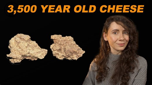 Cheese for the Afterlife: 3,600 Year Old Dairy Discovered in the Tarim Basin