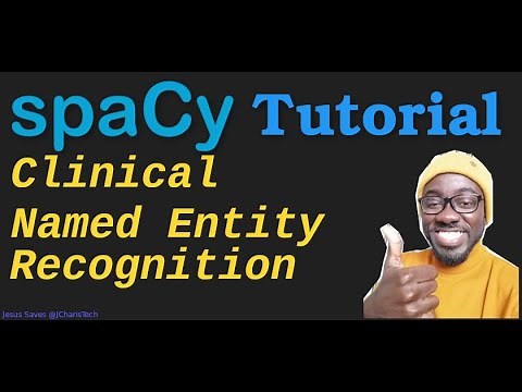 Clinical Named Entity Recognition in Python with Spacy