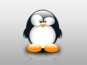 Linux installation guide tutorial