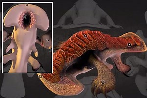 Incredible 3D images show what aliens really look like... and it's not what you may expect