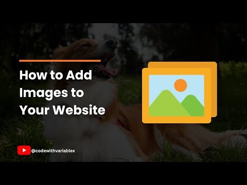 HTML Basics: How to Add Images to Your Website (Beginner Tutorial)How to add Images