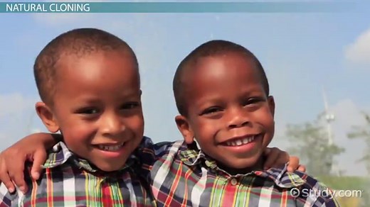 Animal Cloning Overview, Types & Examples