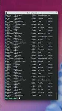 awk en Linux: Filtra y analiza datos como SQL desde la terminal