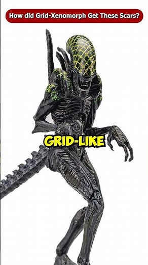 How did the Grid Xenomorph Get Grid-like Scars over it's Head? #shorts #Viral