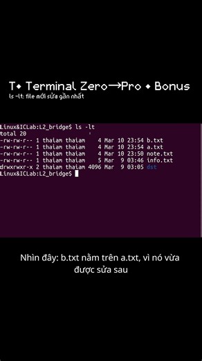 T• ls -lt: file nào mới sửa gần nhất? | Bonus (Terminal Zero→Pro) #terminal #code #linux #python #xh
