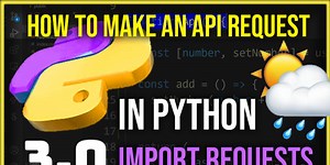 Make API Call in Python