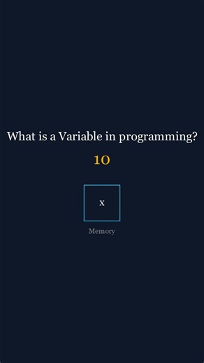 What is a Variable? Explained in 30 Seconds