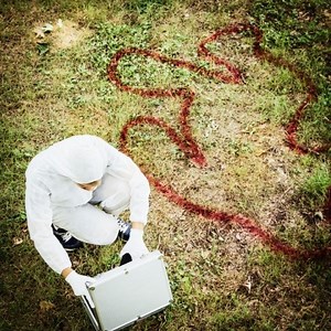 You Be the Crime Scene Investigator